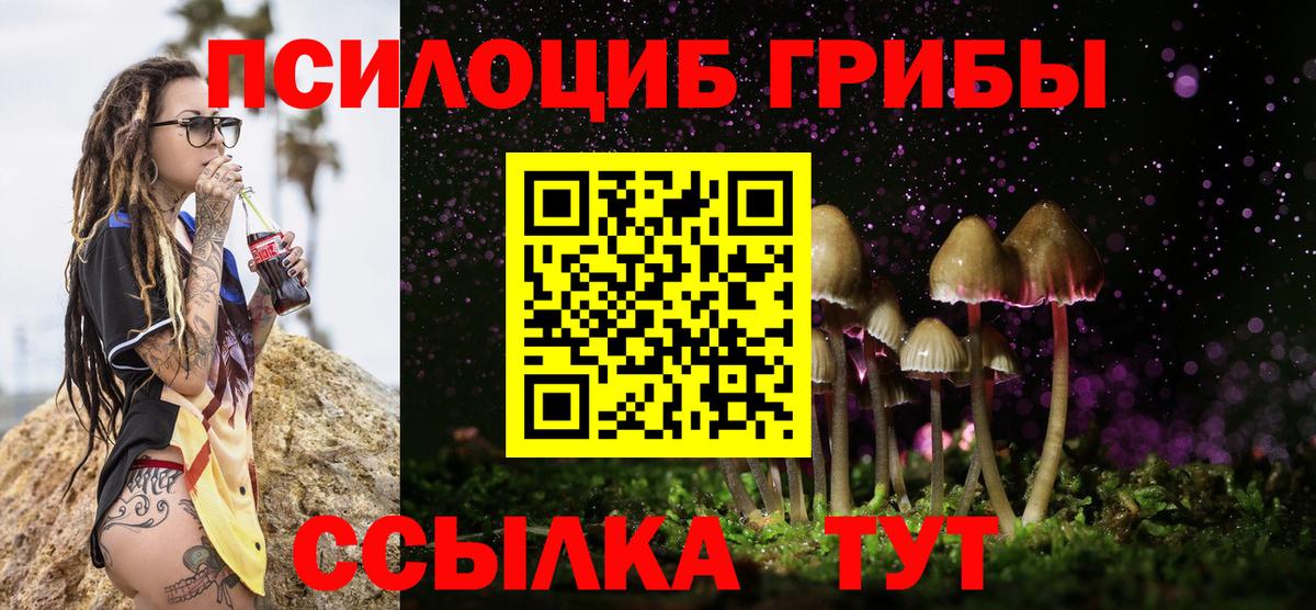 Псилоцибиновые грибы Psilocybe Норильск